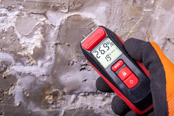 Best Residential Mold Removal  in Prospect, KY